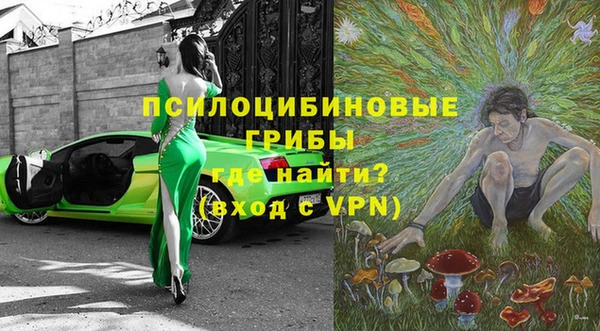 ALPHA PVP Корсаков