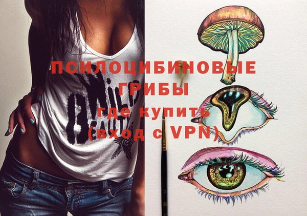 молекула духа Алексеевка