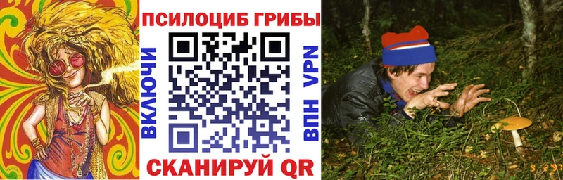 блэк спрут зеркало Заполярный Галлюциногенные грибы Psilocybine cubensis