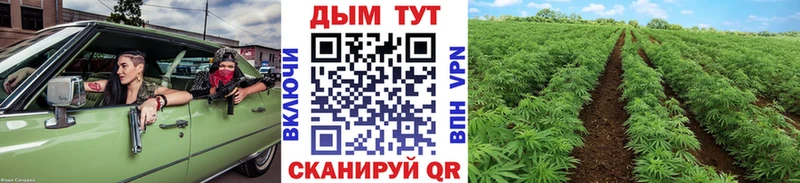 ОМГ ОМГ ТОР  Заполярный  Конопля конопля 